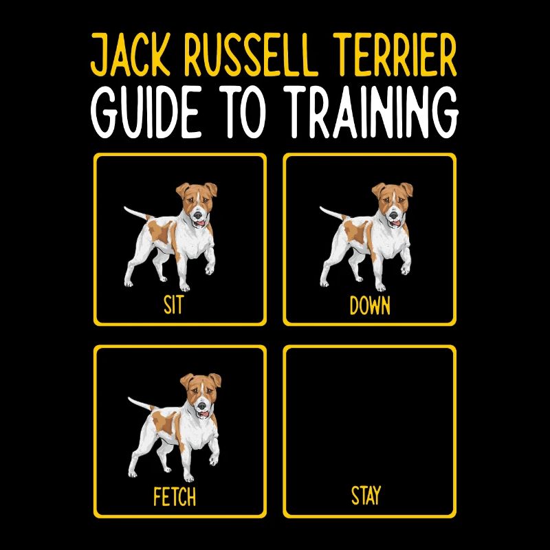Jack Russell Terrier