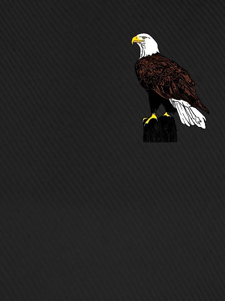 Aigle