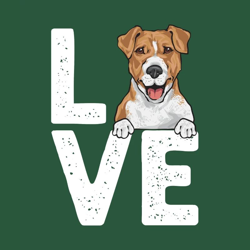 Jack Russell Terrier