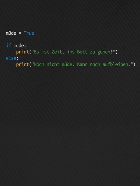 Programmierer Informatiker Nerd Softwareingenieur