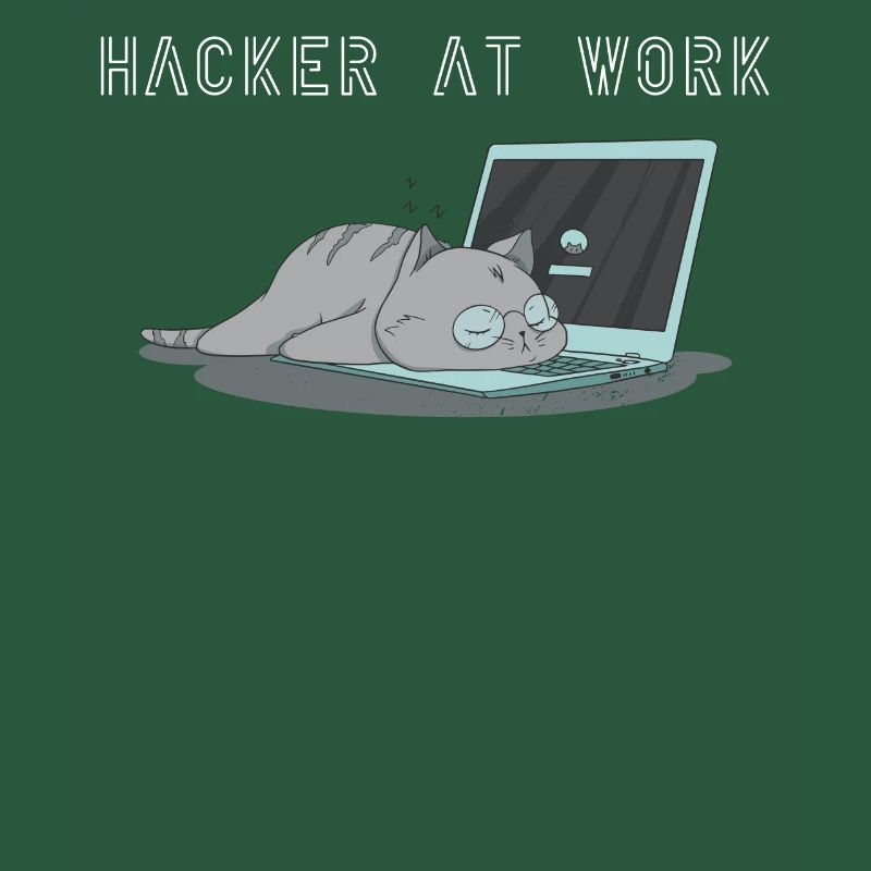 Hacker at work