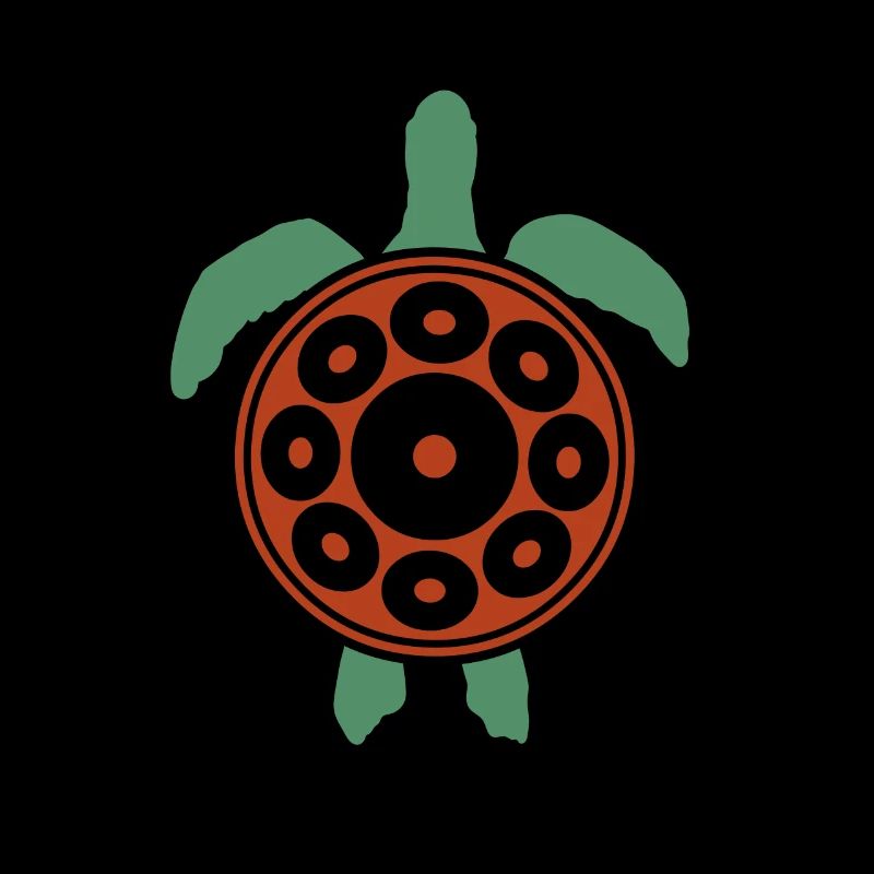 Handpan Turtle Handpan spielen