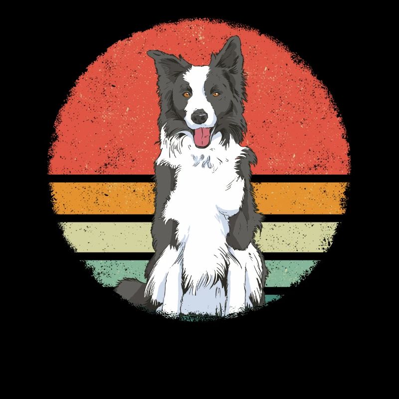 Border Collie Propriétaire de chien