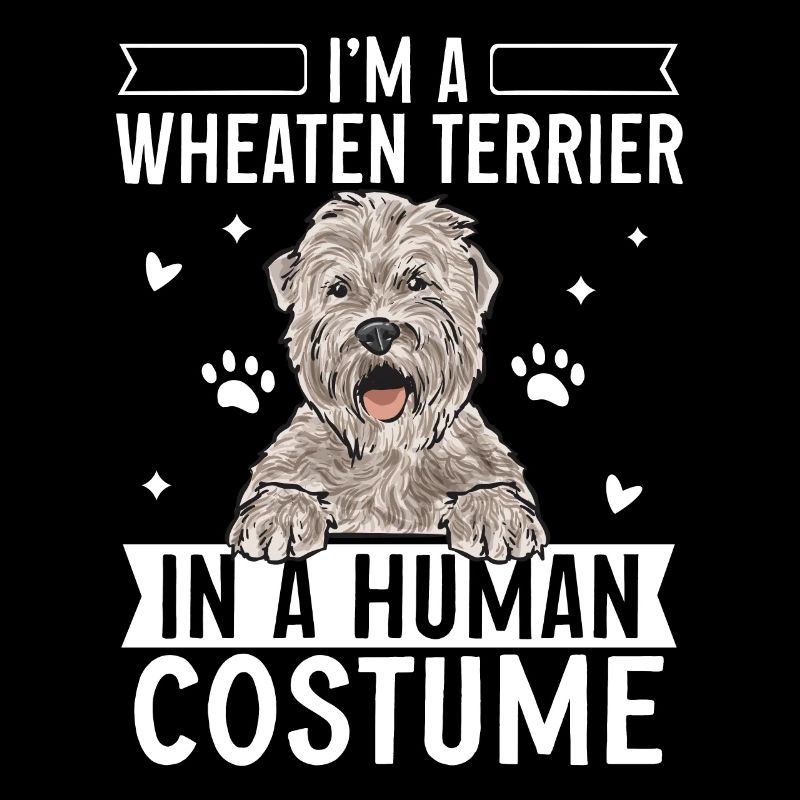Irish Soft Coated Wheaten Terrier