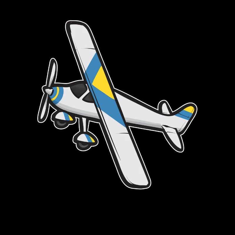 Remote Controlled Airplane Model Airplane