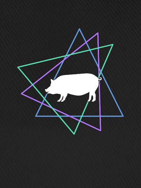 Pig