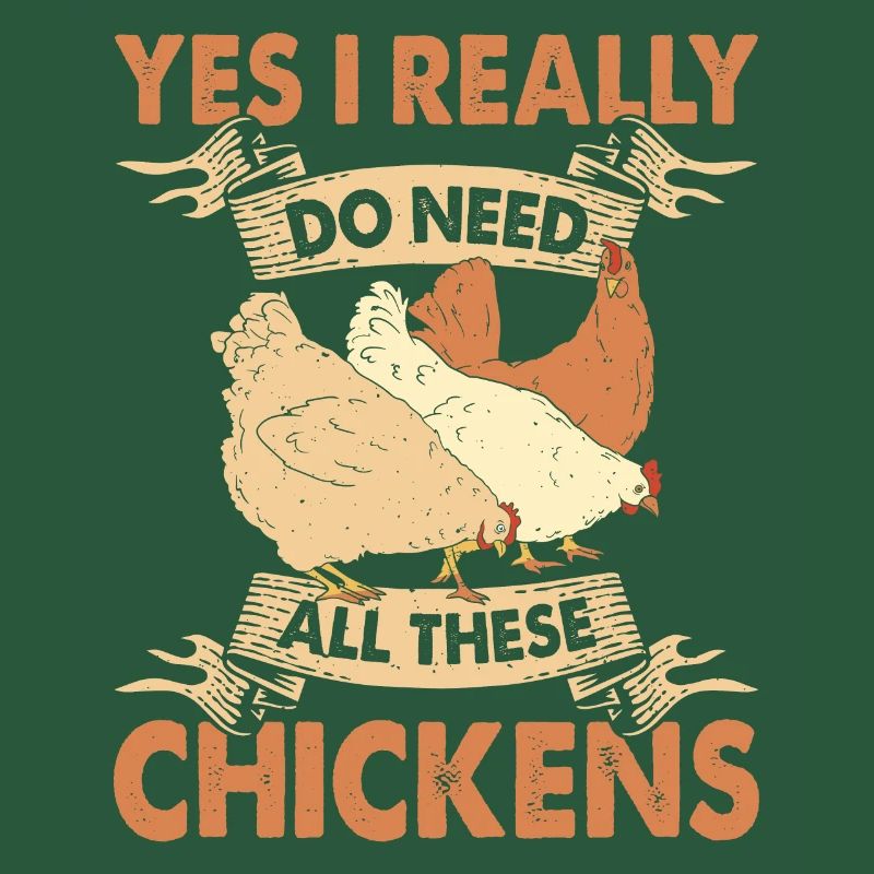 Poulets Élevage de poulets