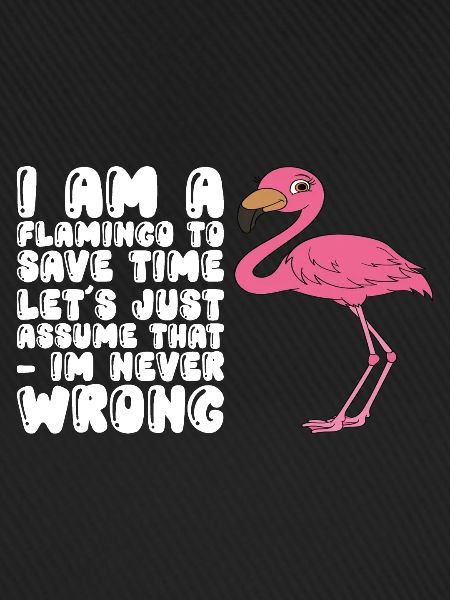 Funny flamingo