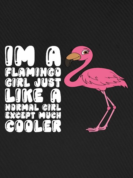 Funny flamingo