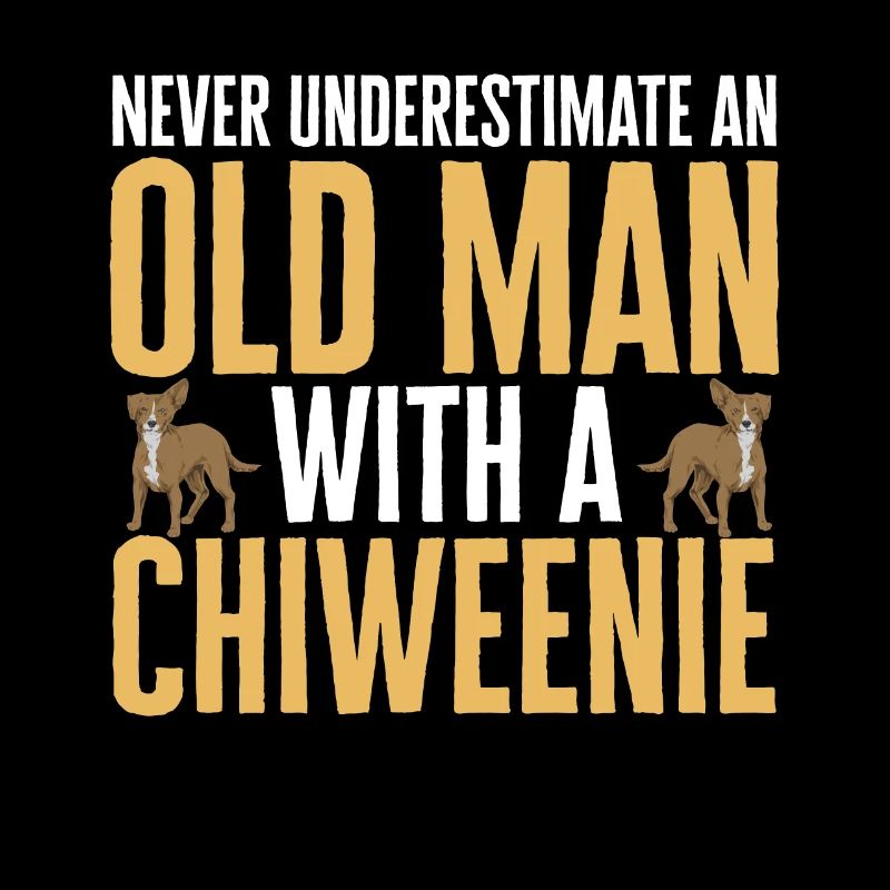 Chiweenie Dog