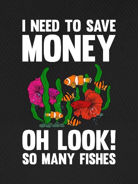 Aquaristics, Fish farming, Aquarists