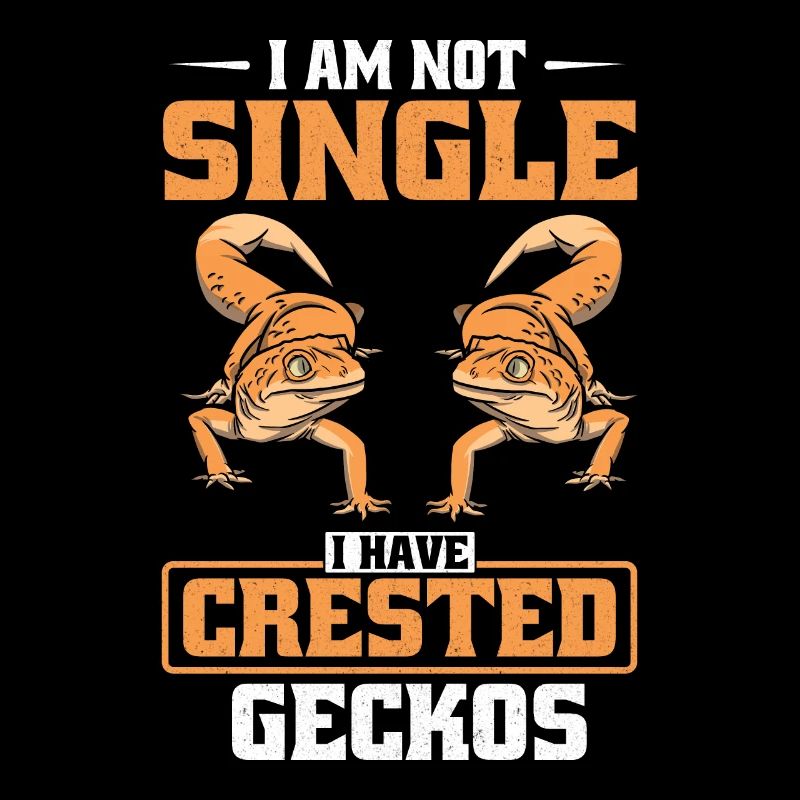 Kronengecko Crested Gecko Doppelfingergecko