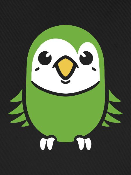 Cute little parakeet