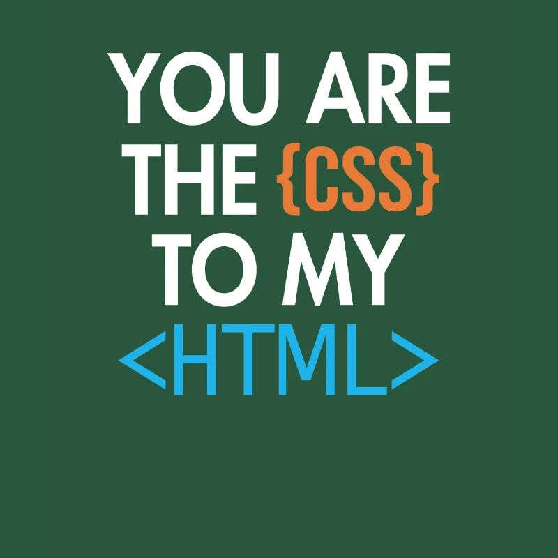 Vous êtes le CSS de mon HTML Developer Coder