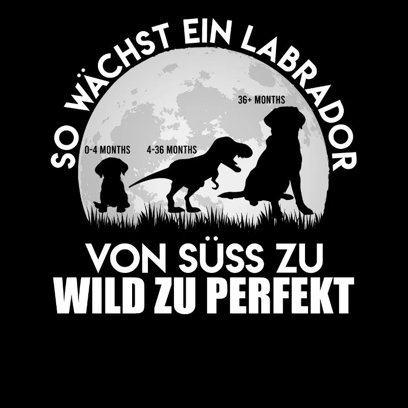 Labrador Hund SO WÄCHST EIN LABRADOR Lustiges