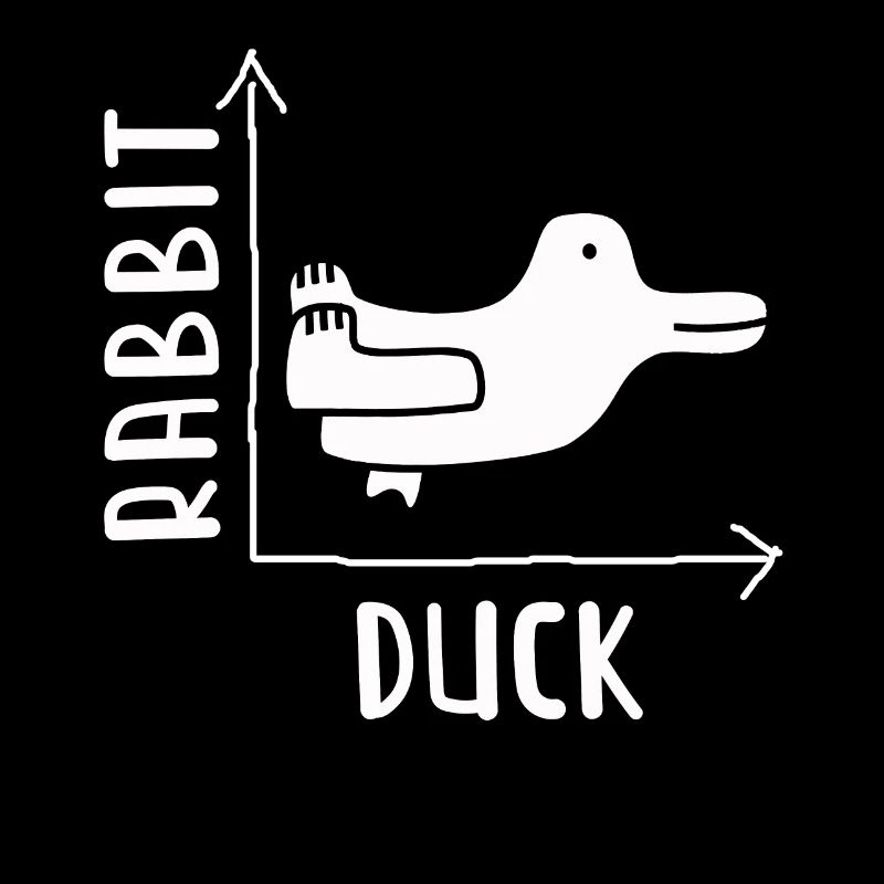 Wittgensteins Rabbit Duck Illusion