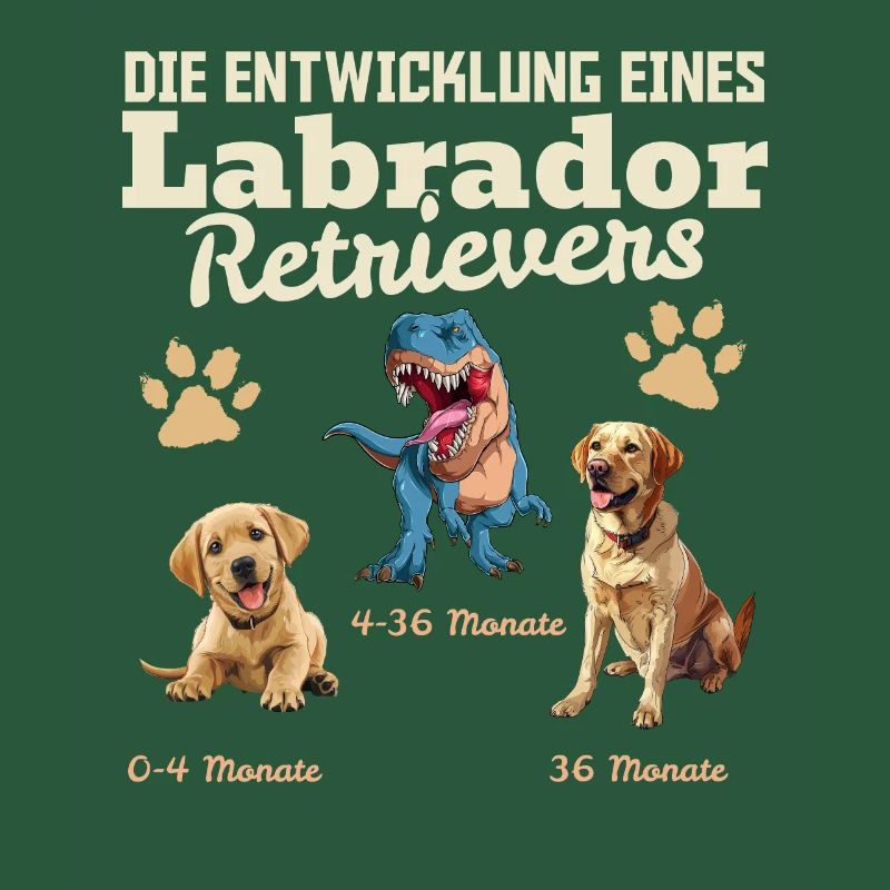 Hundebesitzer DIE EVOLUTION EINES LABRADOR