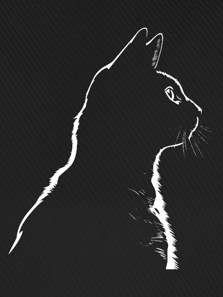 Cat, Cat Motif