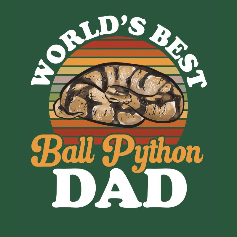 Ball Python Schlange Königspython