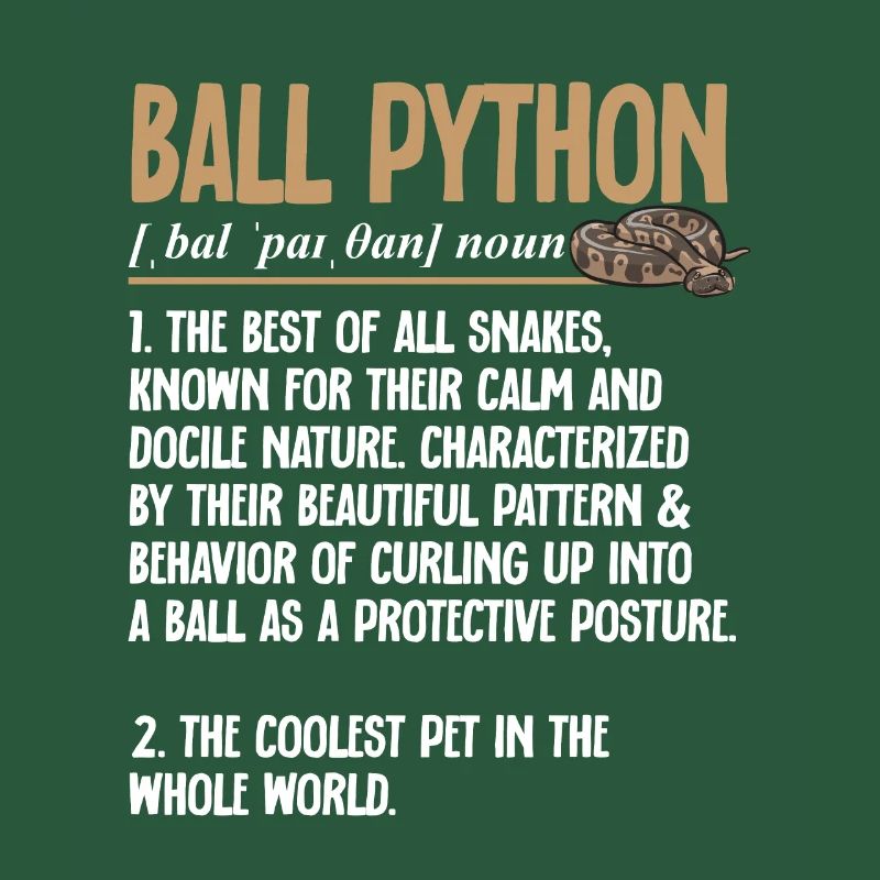 Ball Python Snake King Python