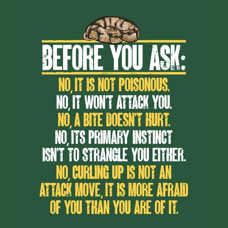 Ball Python Schlange Königspython