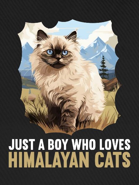 Himalayan Cat Colourpoint Katze