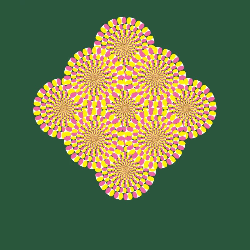 Perception Illusion d’optique Illusion
