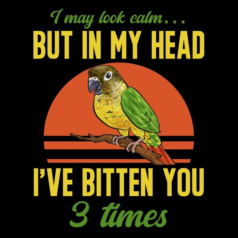 Molina Parakeet Parrot Bird Parakeet