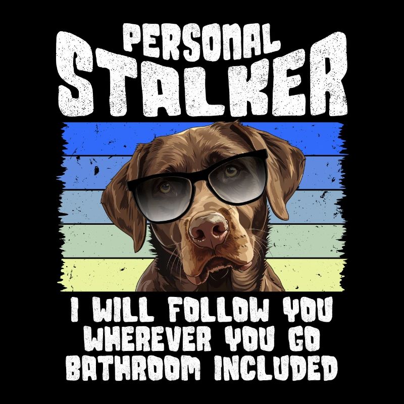 Chien Labrador PERSONAL STALKER JE TE SUIVRAI