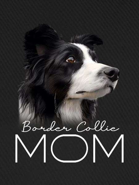 Border Collie Mom