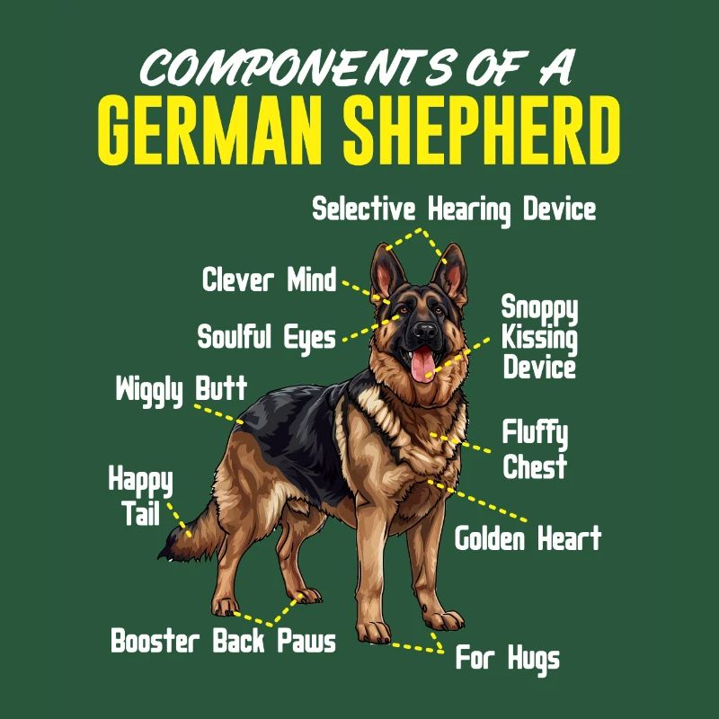 Schäferhund KOMPONENTEN EINES DEUTSCHEN