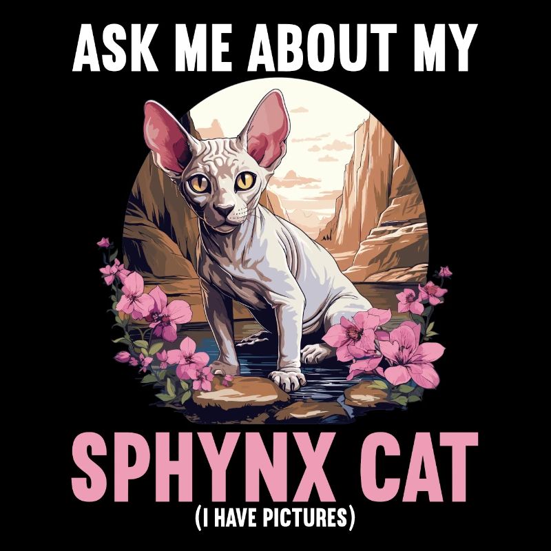 Sphynx Kätzchen Sphynx Katze