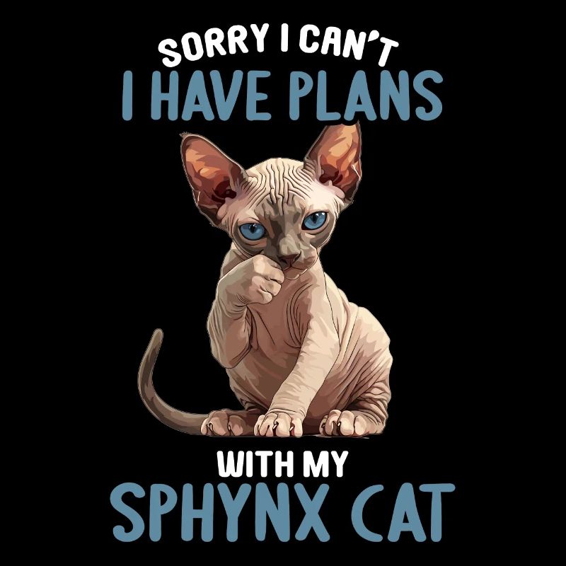 Chaton Sphynx Chat Sphynx