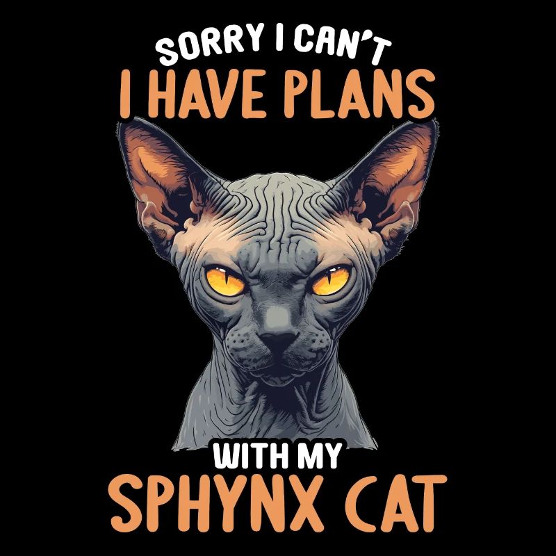 Sphynx Kitten Sphynx Cat