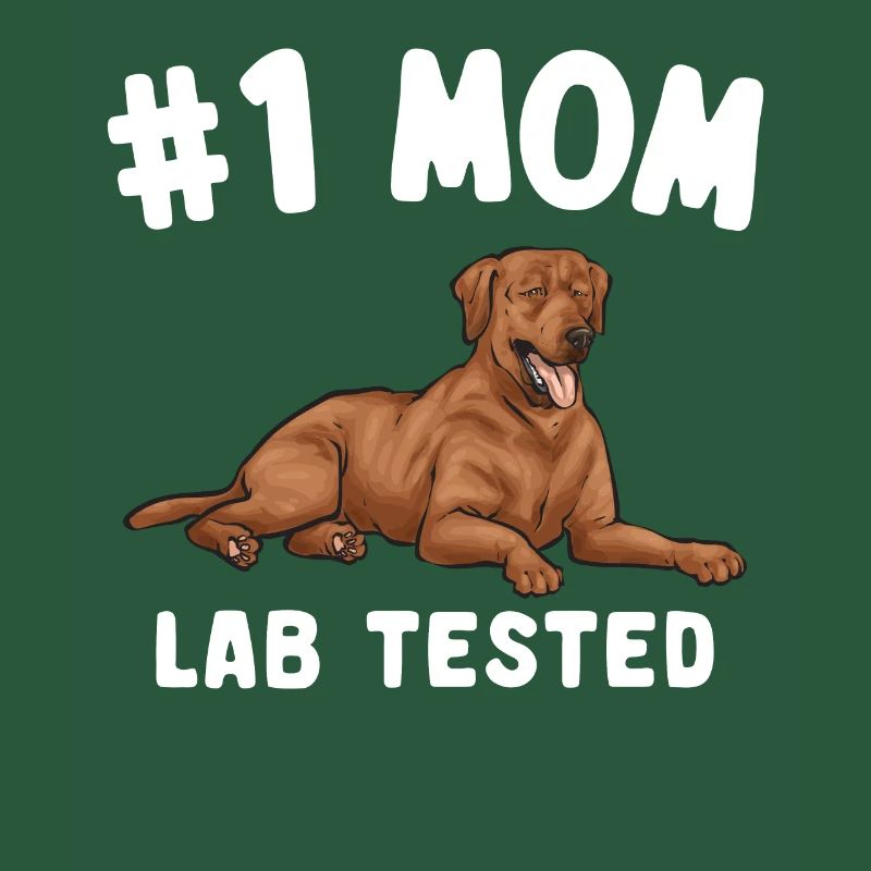 Fuchsroter Labrador Retriever Fox Red Labrador