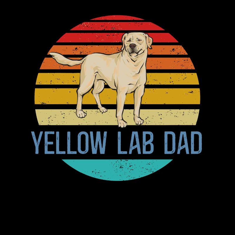 Labrador Retriever jaune