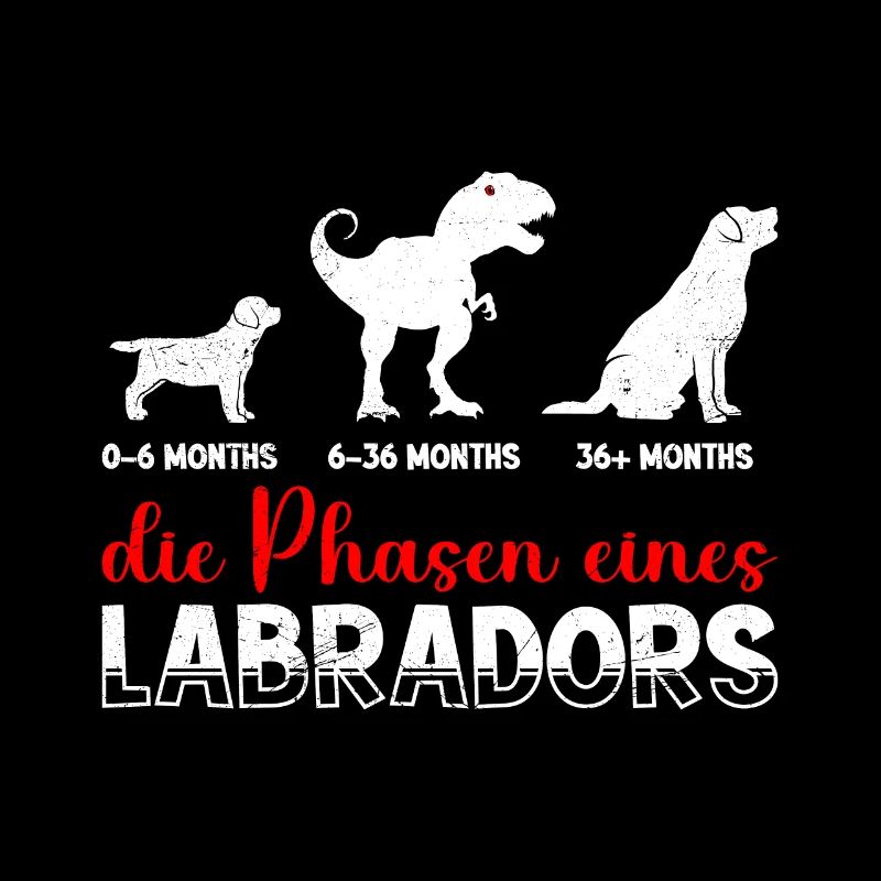 Propriétaire du Labrador LES PHASES D’UN LABRADOR Cool