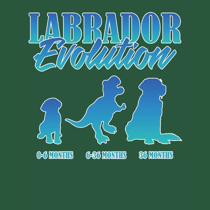 LABRADOR EVOLUTION Labrador Besitzer Lustiges