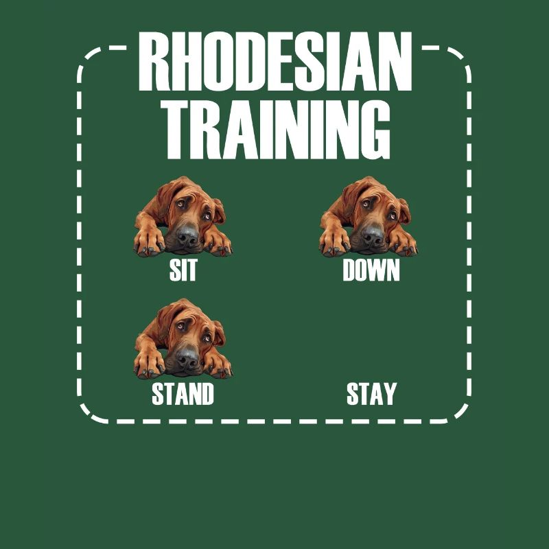 Rhodesian Training Propriétaire de Rhodesian Ridgeback