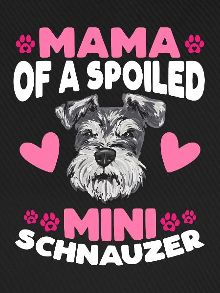 Miniature Schnauzer Dog Schnauzer