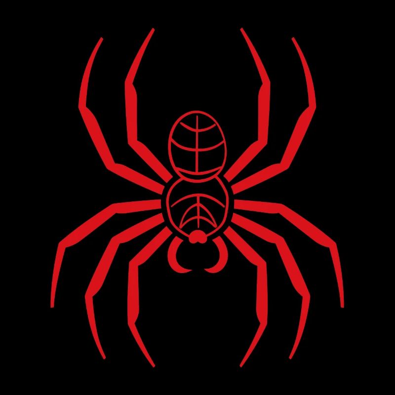 Spinne