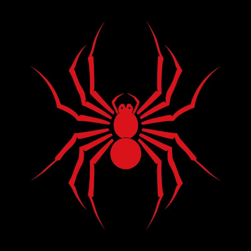 Spinne