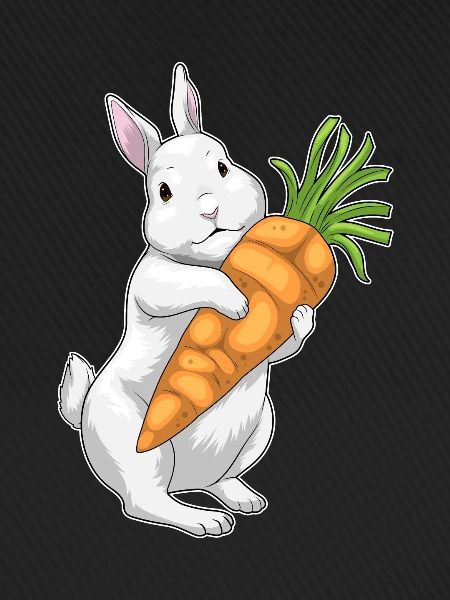 Rabbit Carrot