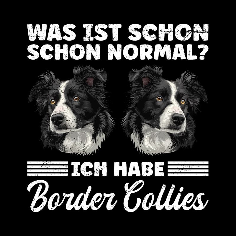 Border Collie WAS IST SCHON NORMAL? HABE BORDER