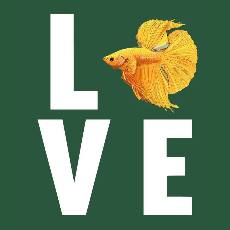 Bettas Betta Fish Betta
