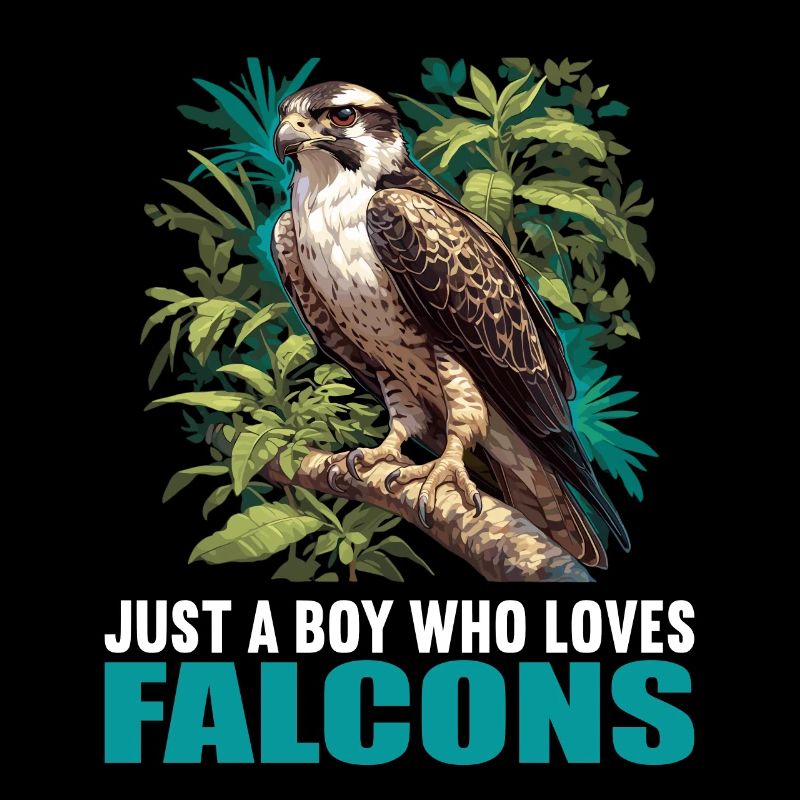 Faucon Faucon