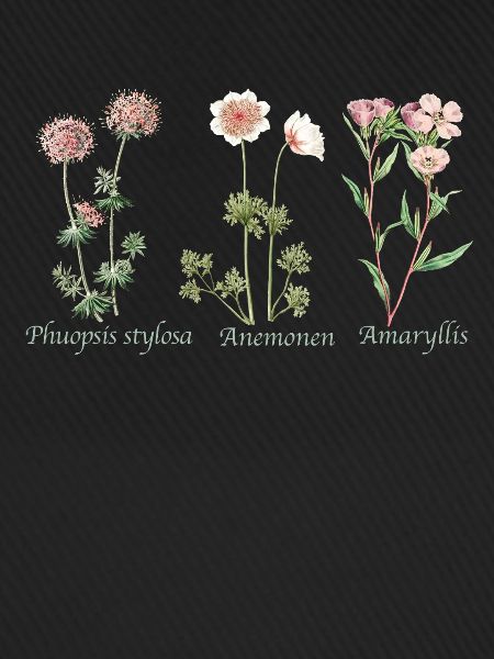 Botanische Illustration Botanical Illustration