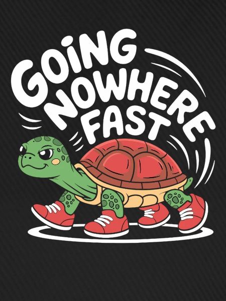 Turtle pace in style