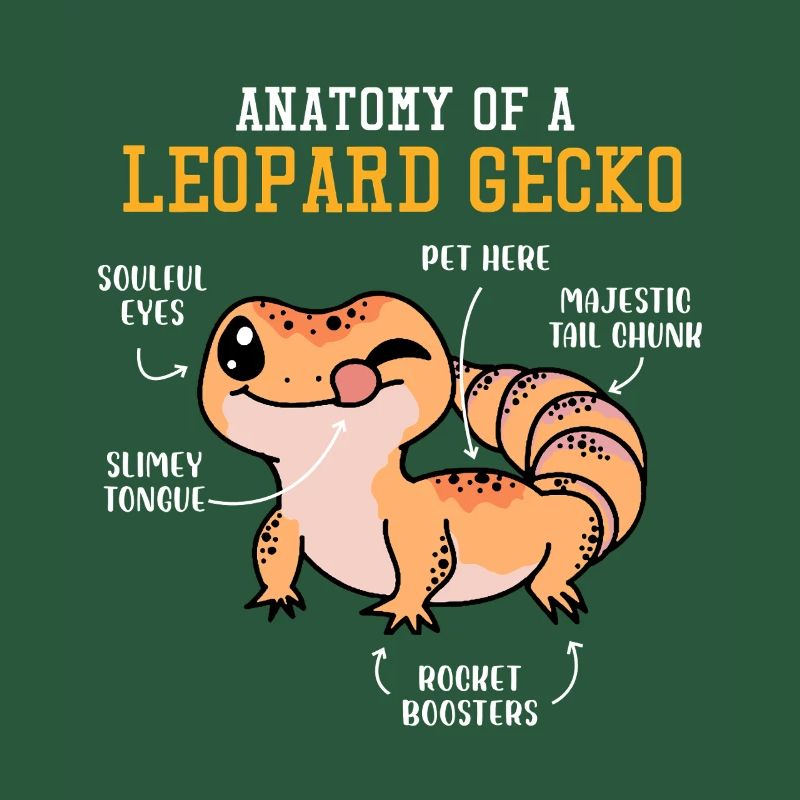 Drôle de conception de gecko léopard