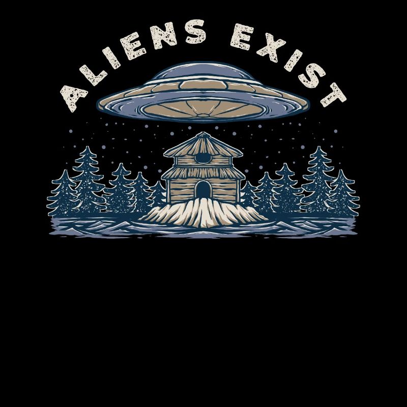 Alien UFO Abduction Cabin